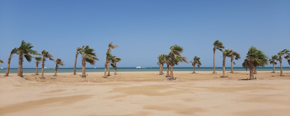 WhatsApp Image 2025-04-08 at 14.41.50_a9ec8eac El Gouna